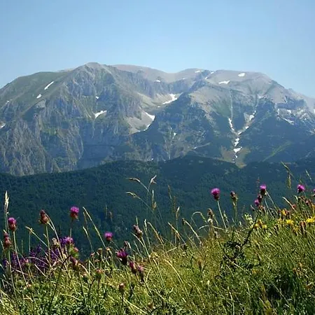 Il Viandante Bed & Breakfast Sulmona